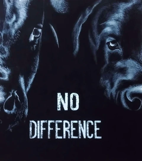 Two animal faces joined by the words no difference