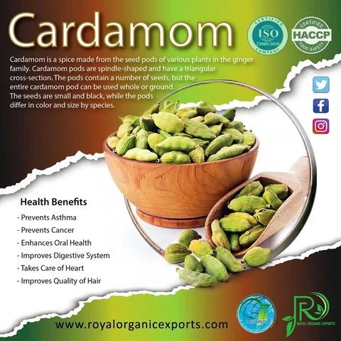 Cardamom information artwork for Royal Organic Exports