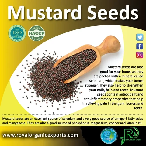 Mustard seeds information artwork for Royal Organic Exports