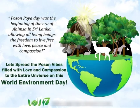 VoV Vegan Restaurant social post: World Environment Day